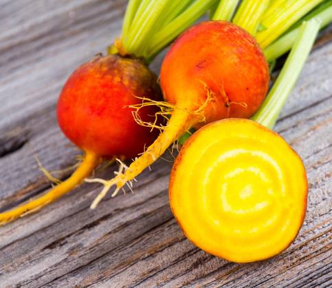 Burpee's Golden Beets {30,100,200,400} Seeds Heirloom treated 55 days Bulk Burpee's Golden Beets {30,100,200,400} Seeds Heirloom treated 55 days Bulk