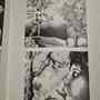 "Le Regard Geologue" Dessins 1969-1972 by Richard Aeschlimann -1