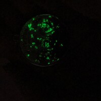 Blue Glow Mushroom  - Thumbnail 2