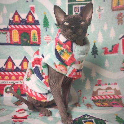 Santa's workshop - bathwear