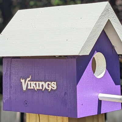 Vikings bird house