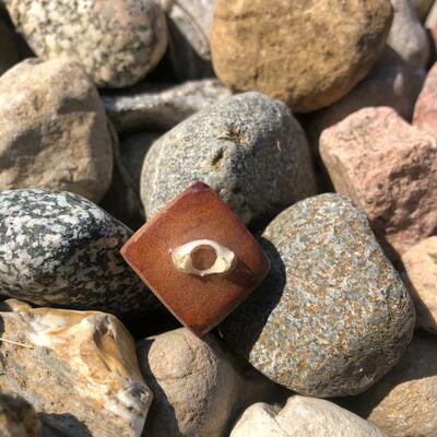 Avocado pit and squirrel bone pin (diamond)