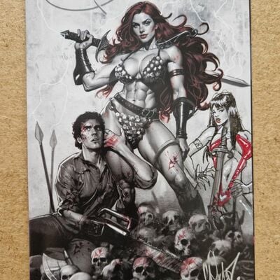 Red sonja vs army of darkness remarqued