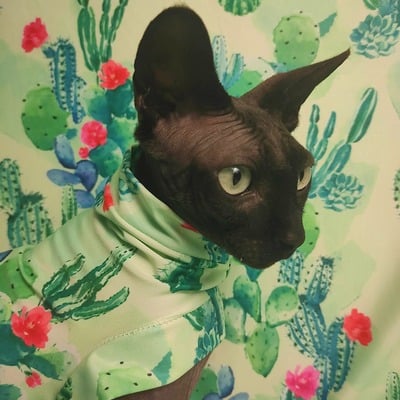 Cacti - sleepwear - Thumbnail 1