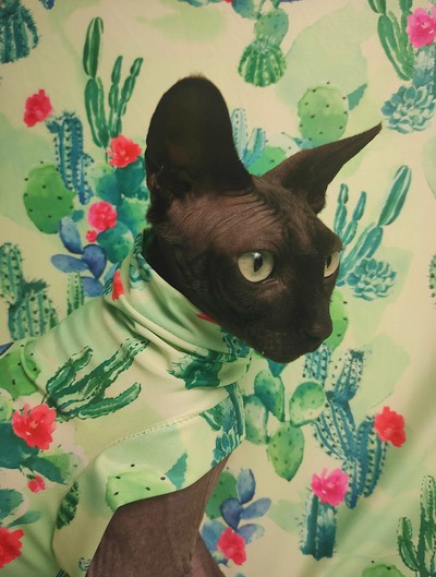 Cacti - Sleepwear