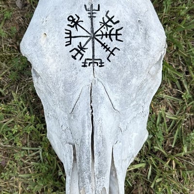 Vegvisir cow skull