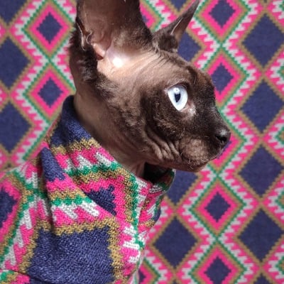 Indigenous - sweaterknit - Thumbnail 1