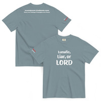 Lunatic, Liar or LORD - Thumbnail 11