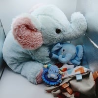 Toot toot bundle - Thumbnail 1