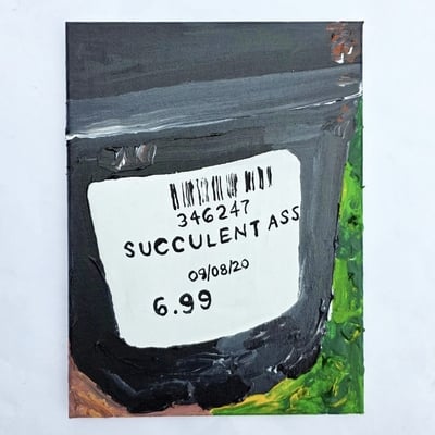 Succulent 