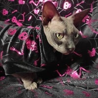 Dem Bones - Velvet - Thumbnail 1