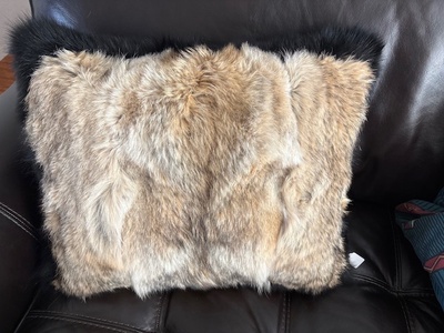 Coyote throw pillow
