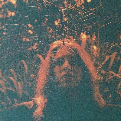 [09/05] Turnover - Peripheral Vision (Clear Orange Vinyl)