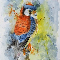American Kestrel Bird Painting – Archival Watercolor Wildlife Wall Art by Tanya Davis