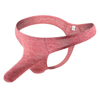 5PK multi-color Men's sexy lingerie youth underwear elephant tube physiological thong t-string L452 - Thumbnail 1