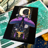 Phalène lune - Thumbnail 1