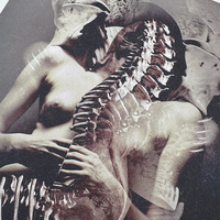 Shedding Bones II - large giclée print - 16" x 20" - Thumbnail 4