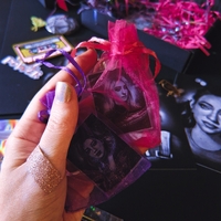 Raven, sun, moon, moth - Lost Records Bloom and Rage - Thumbnail 5