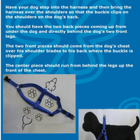 reflective step-in harness for small/medium sized dogs (Rogz brand) - Thumbnail 3