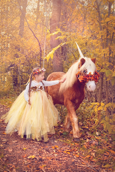 CUSTOM TULLE DRESS & HEAD PIECE
