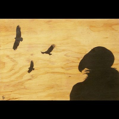 California Condor